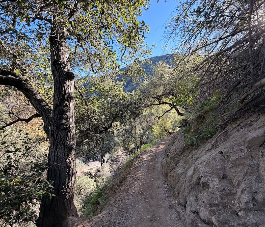 Monrovia Canyon Park 3